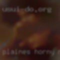 Plaines horny milfs