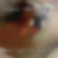 Swingers Martins Ferry